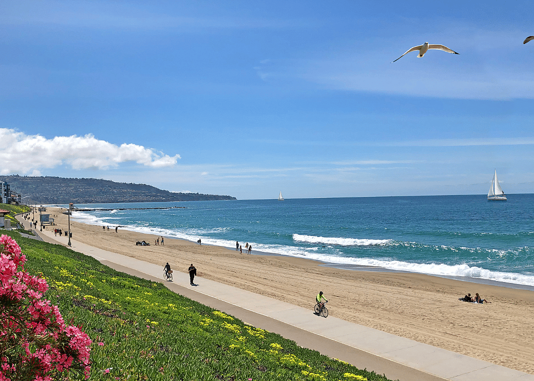 People jogging and cycling on sunny day in Redondo Beach