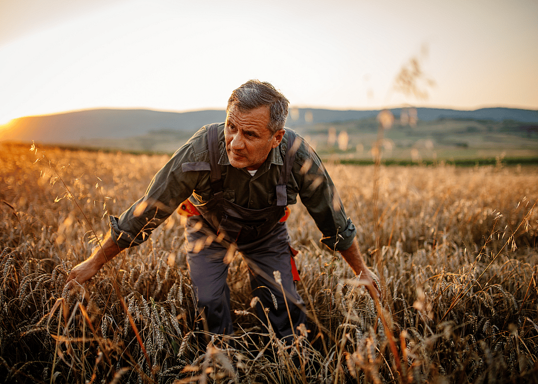 Agricultural worker on a farm