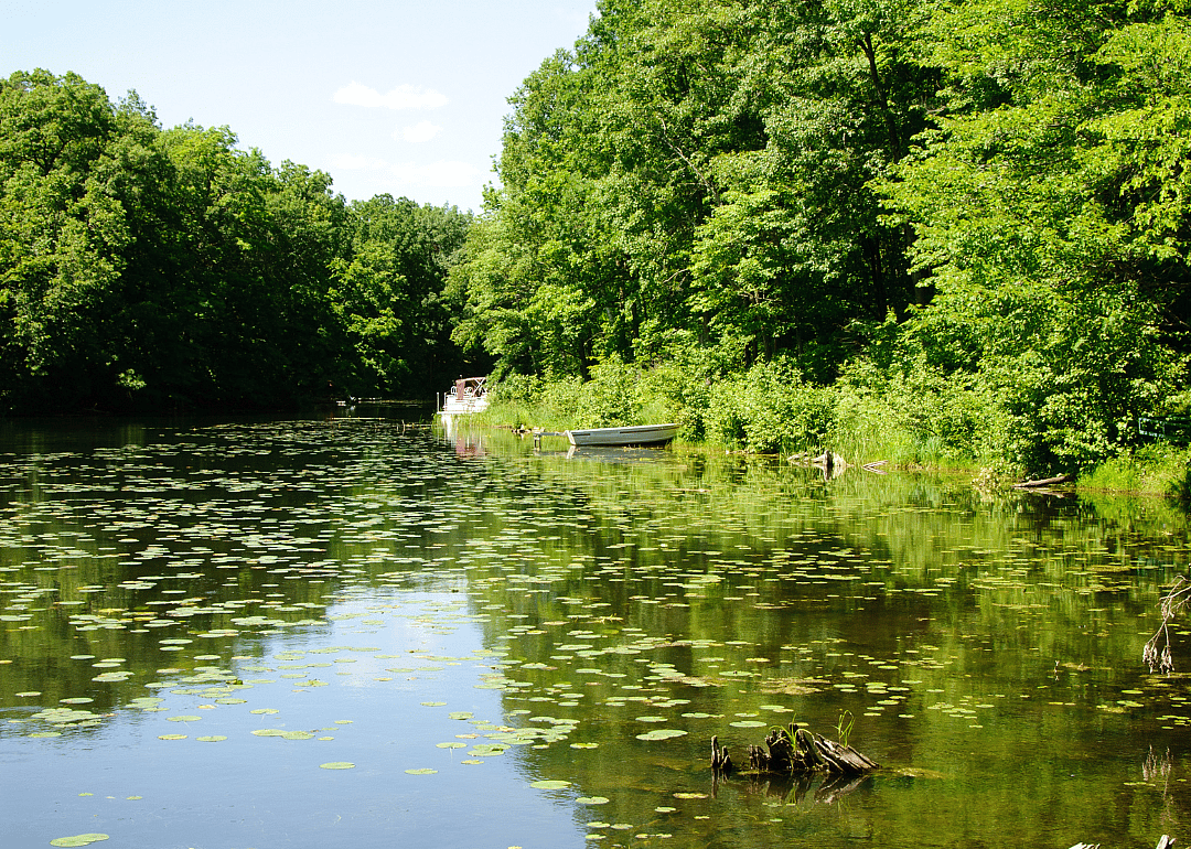 #26. Burnett County (tie)