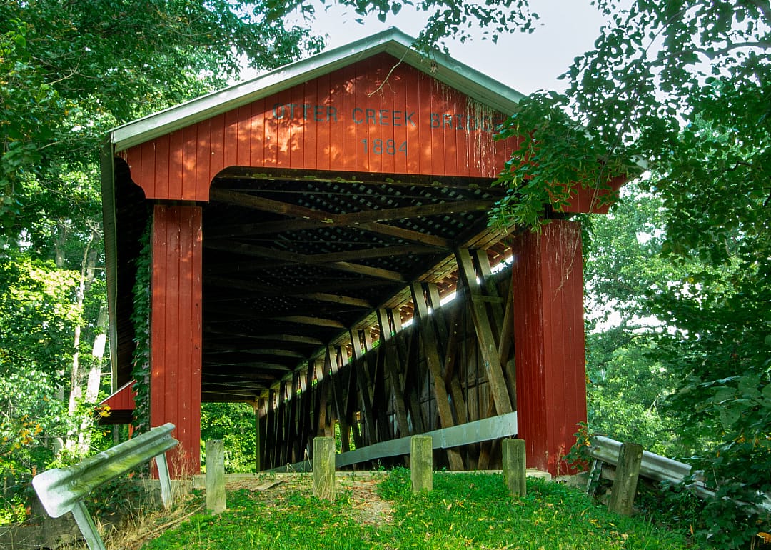 #29. Ripley County
