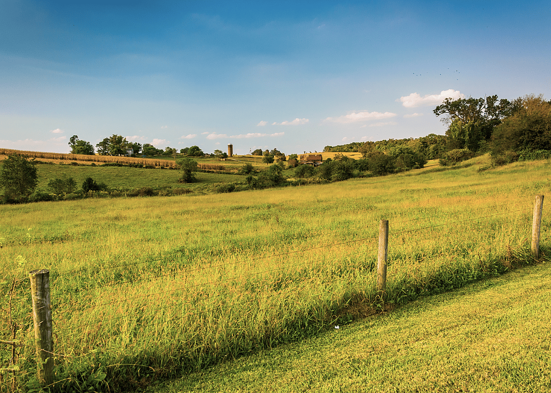 #20. Howard County