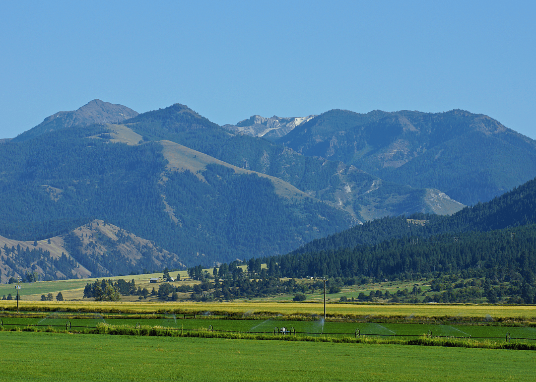 #3. Wallowa County