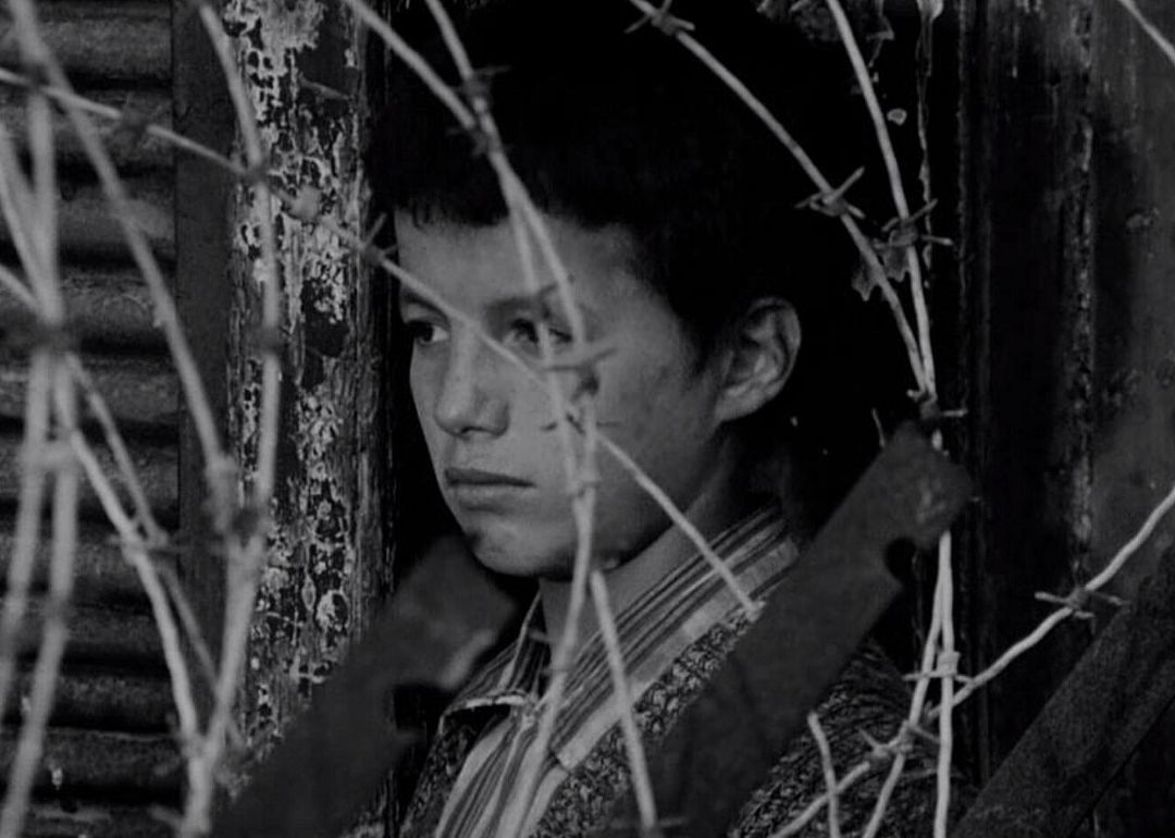 #10. The Battle of Algiers (1966)