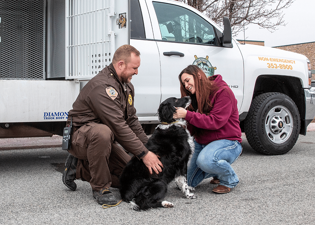 Nevada: Washoe County Regional Animal Services
