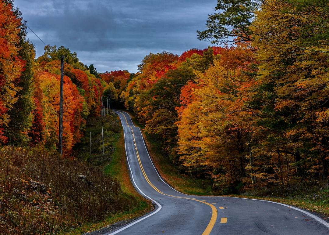 #22. Webster County