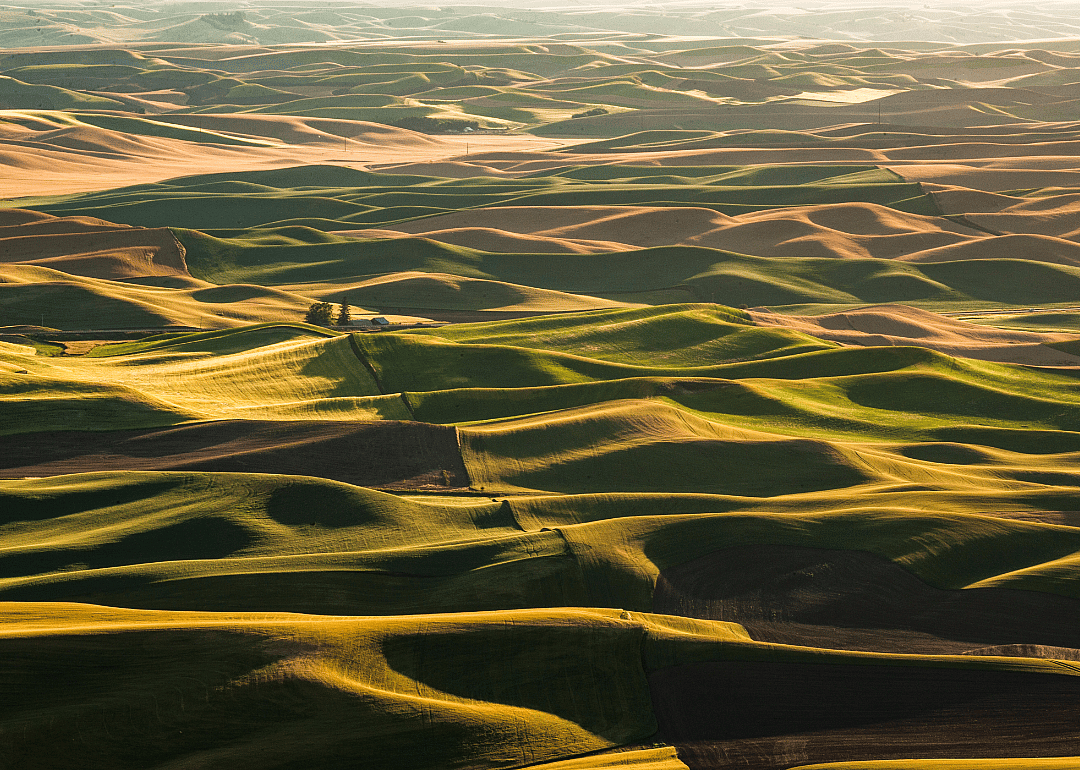 #4. Pullman, Washington
