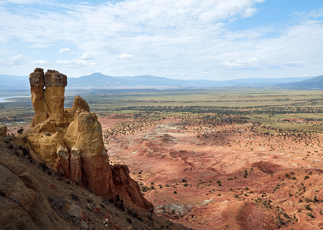#29. New Mexico