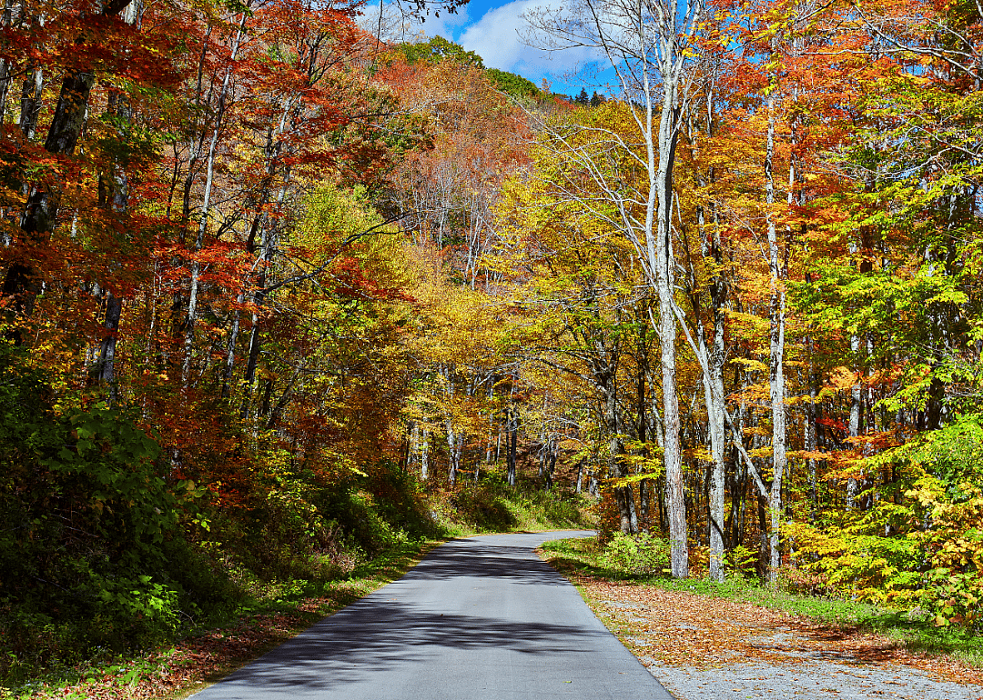 #46. Wyoming County