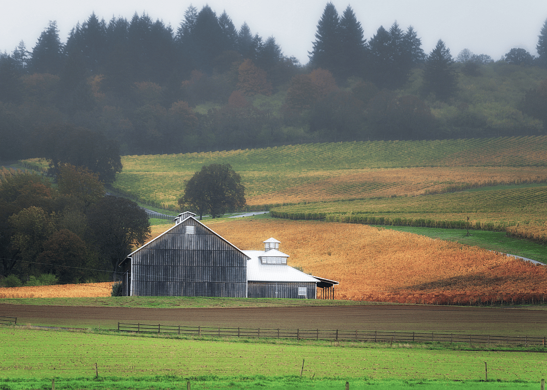 #25. Yamhill County