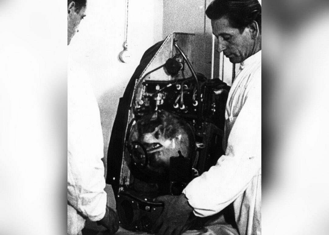 November 3, 1957: Laika