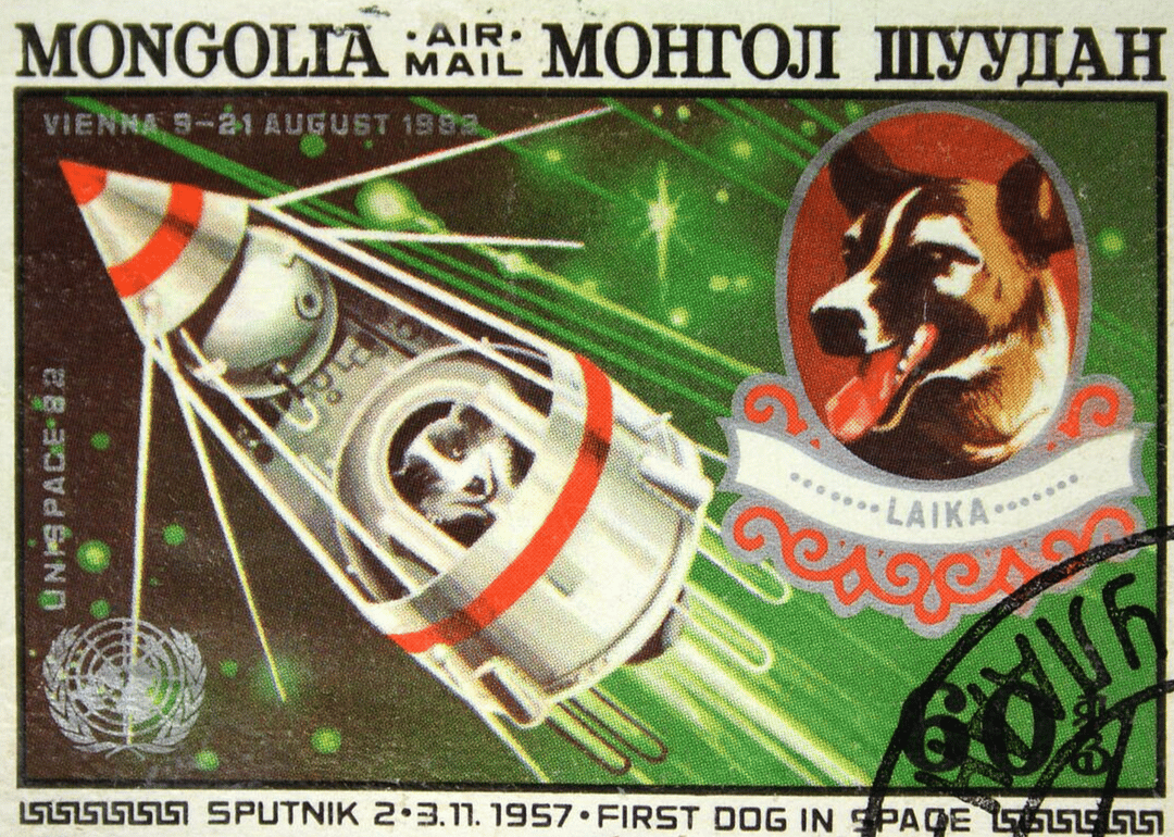 February 21, 1958: Palma and Pushok