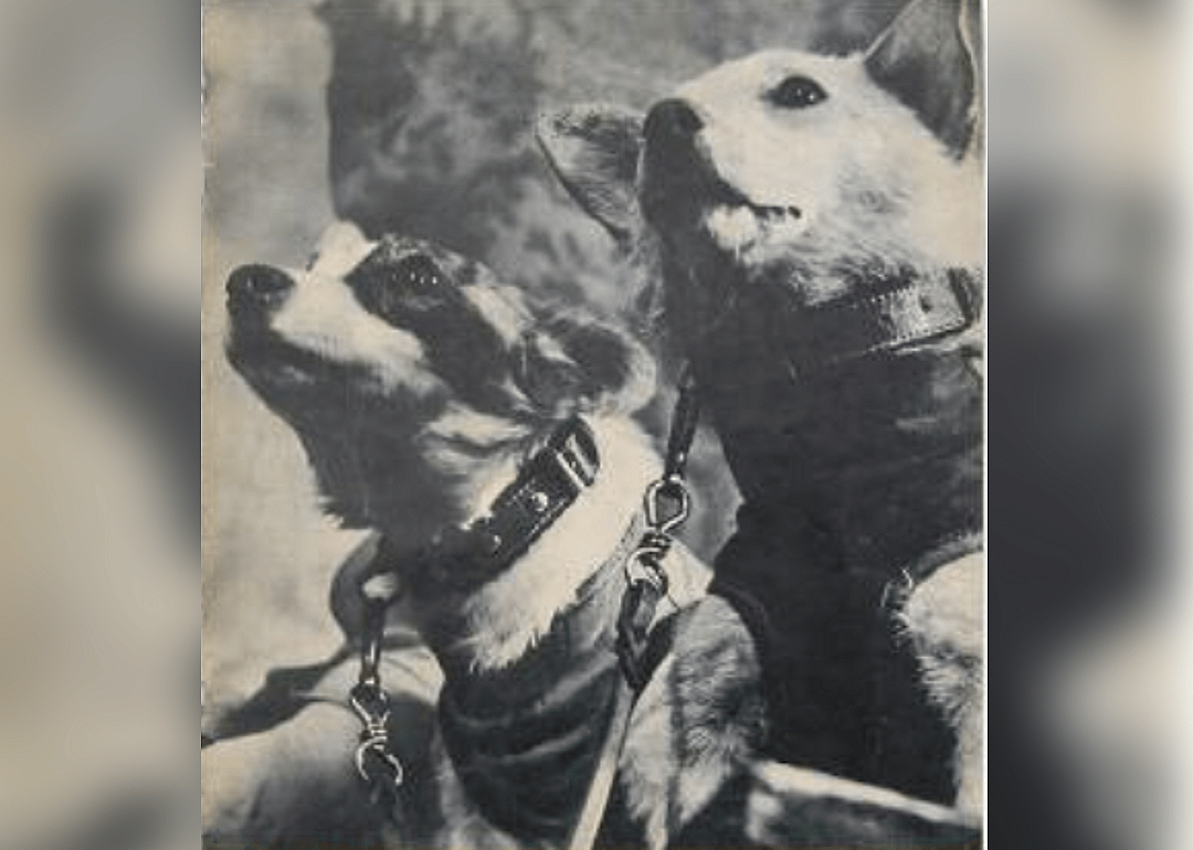 September 22, 1960: Kusachka / Otvazhnaya and Neva