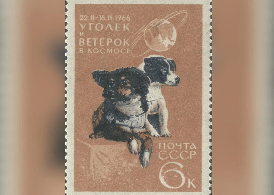 July 29, 1951: Dezik and Lisa