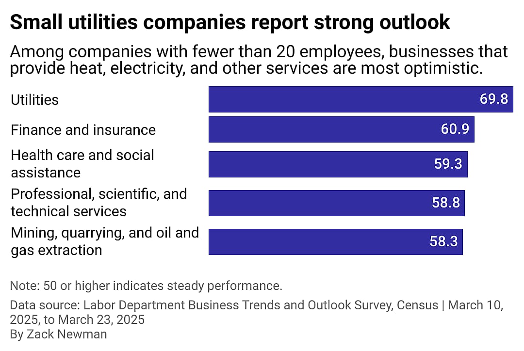 A bar chart showing utilities and financial companies with fewer than 20 employeed are among the most optimitic.