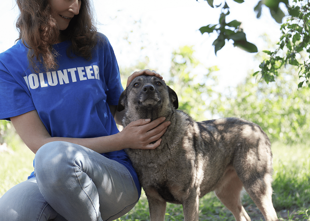 An animal shelter volunteer pets a dog outside in the grass.