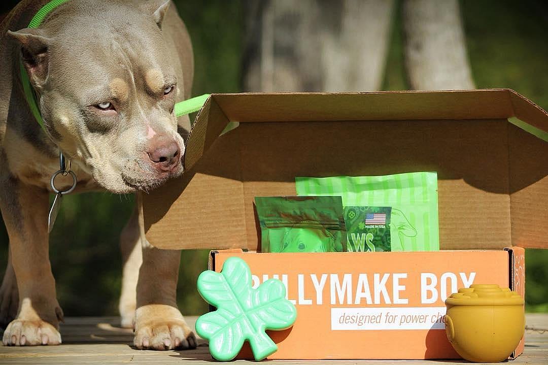 Bullymake dog toys