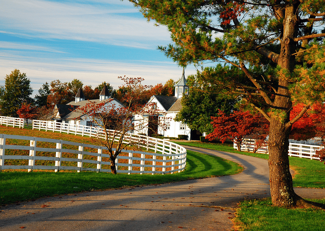#40. Lexington, KY