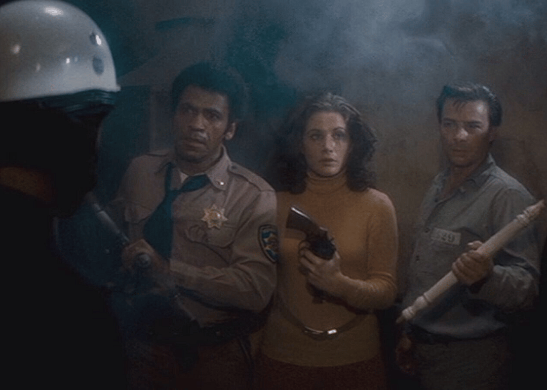 #56. Assault on Precinct 13 (1976)