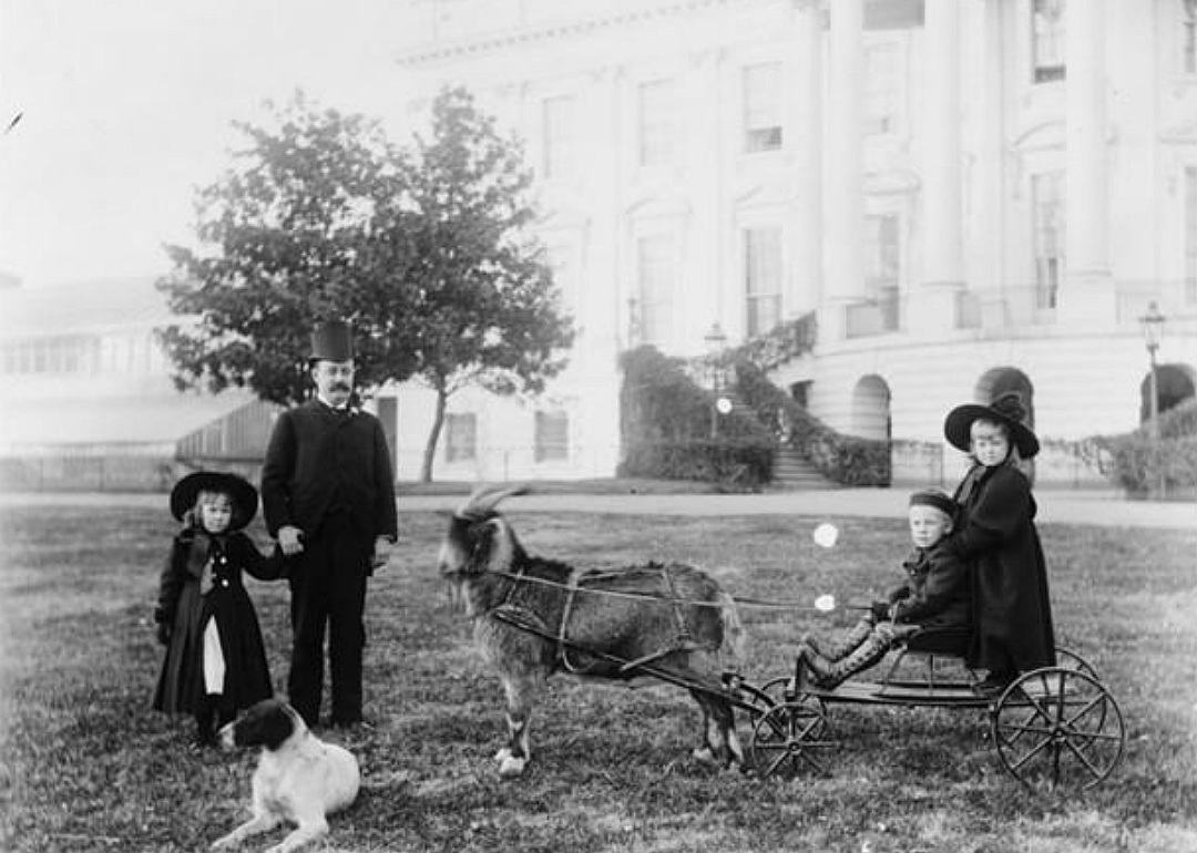 Benjamin Harrison