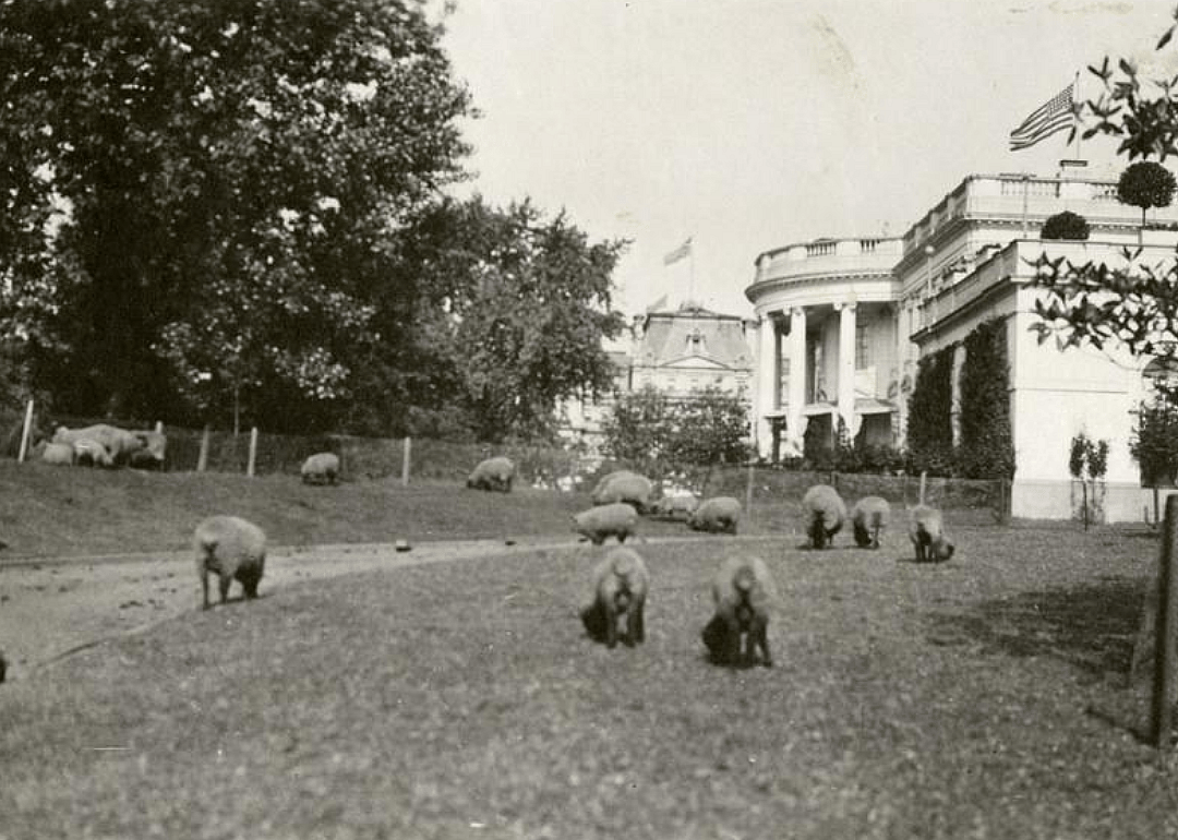 Woodrow Wilson