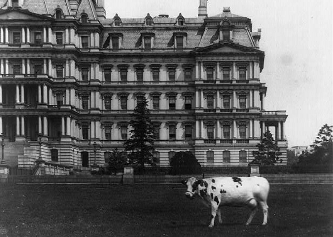 William Howard Taft