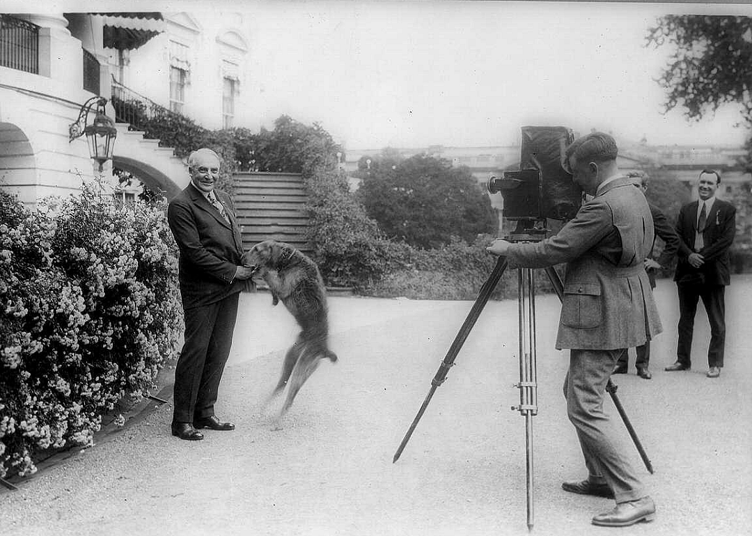 Warren G. Harding