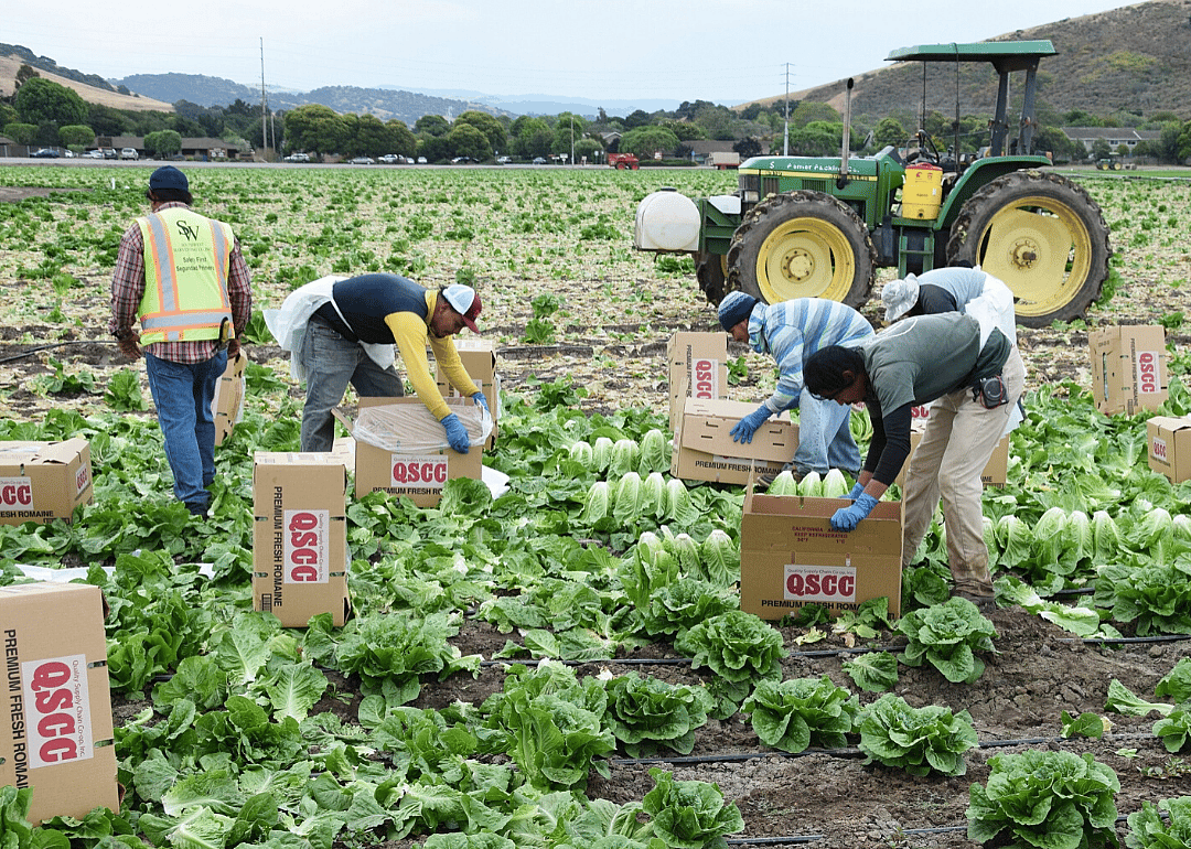 The Food Chain Workers Alliance