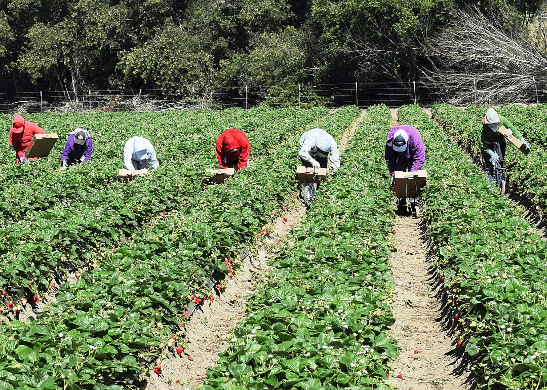 Campaign for Migrant Worker Justice