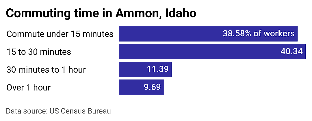 #3. Ammon