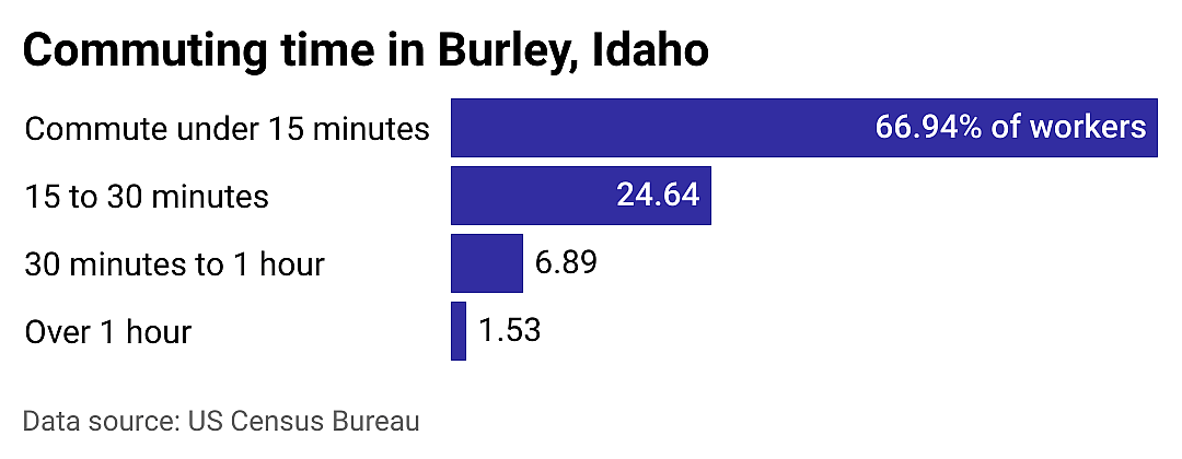 #20. Burley