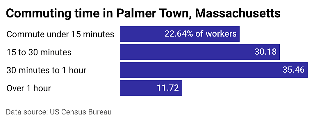 #18. Palmer Town