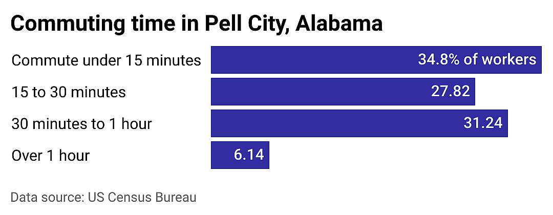 #13. Pell City