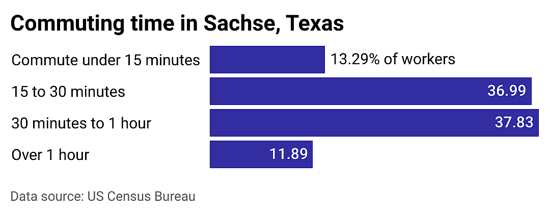 #21. Sachse