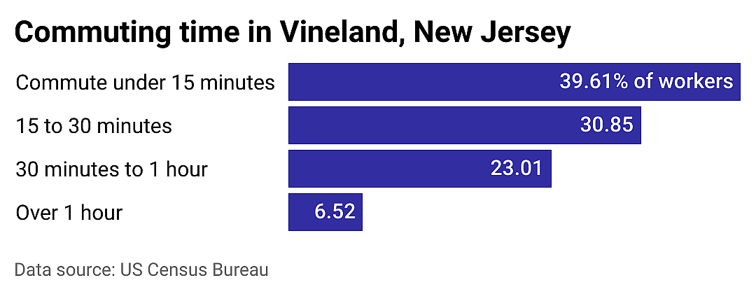 #24. Vineland