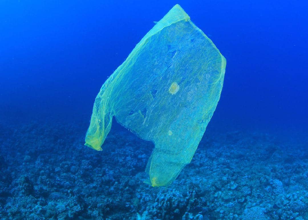 #5. Plastic grocery bags
