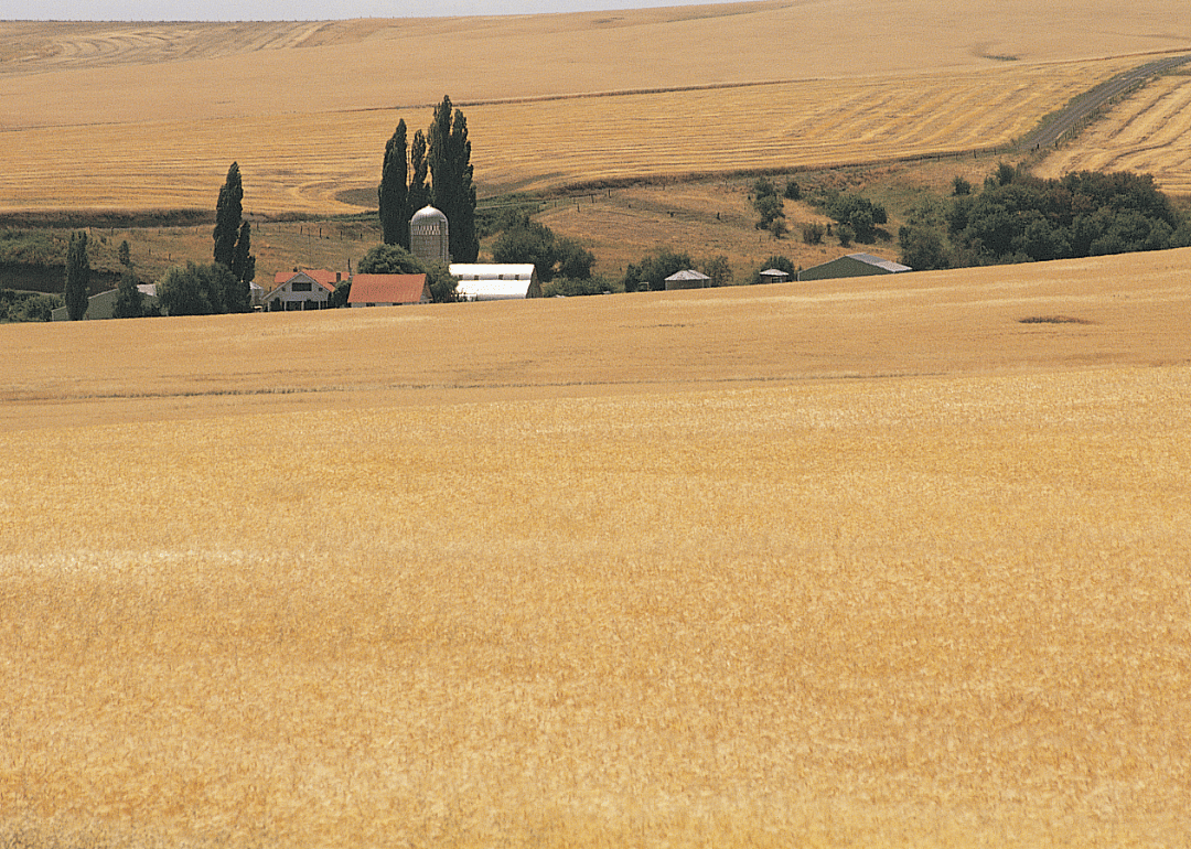 #44. Idaho