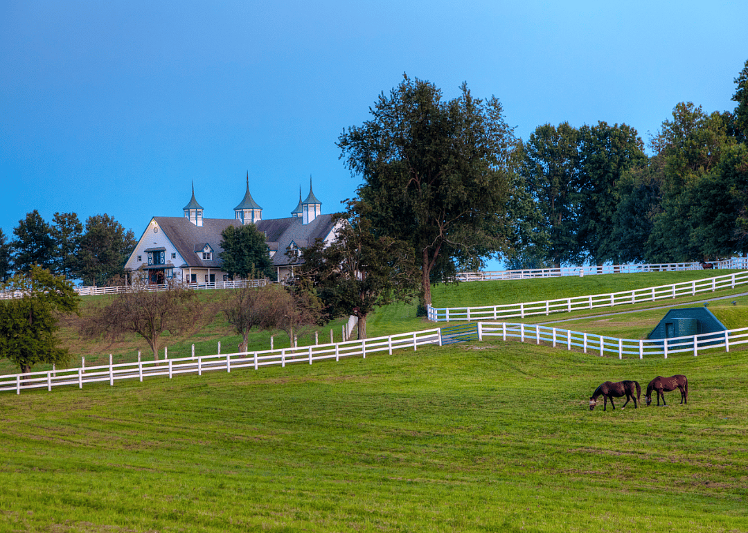 #7. Kentucky (tie)