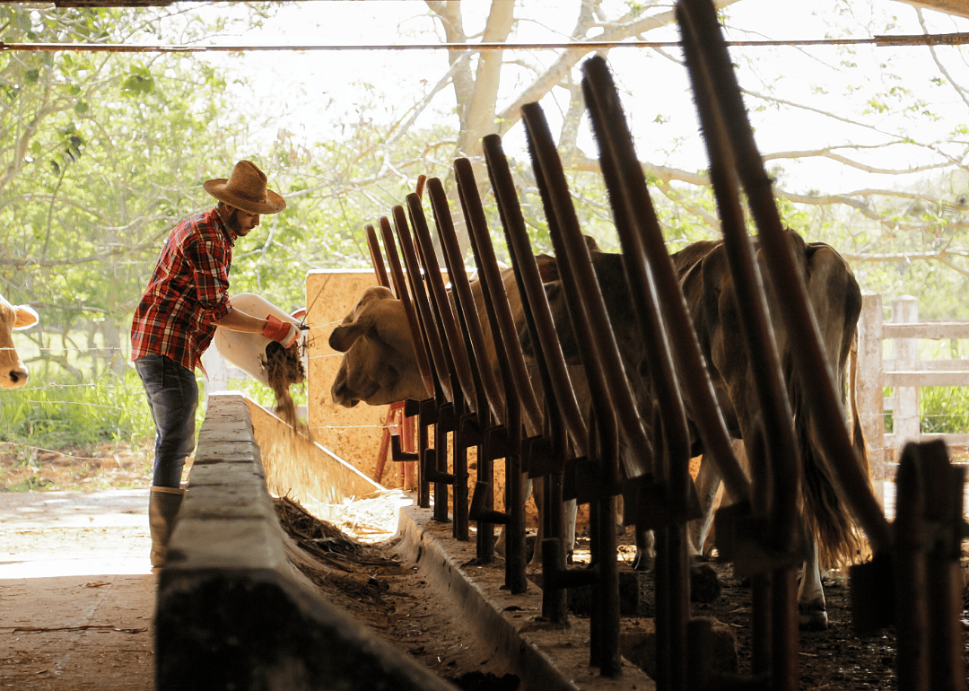#47. Farmworkers, farm, ranch, and aquacultural animals (tie)
