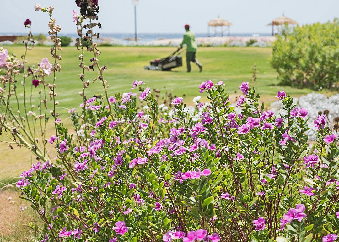 #29. Landscaping and groundskeeping workers