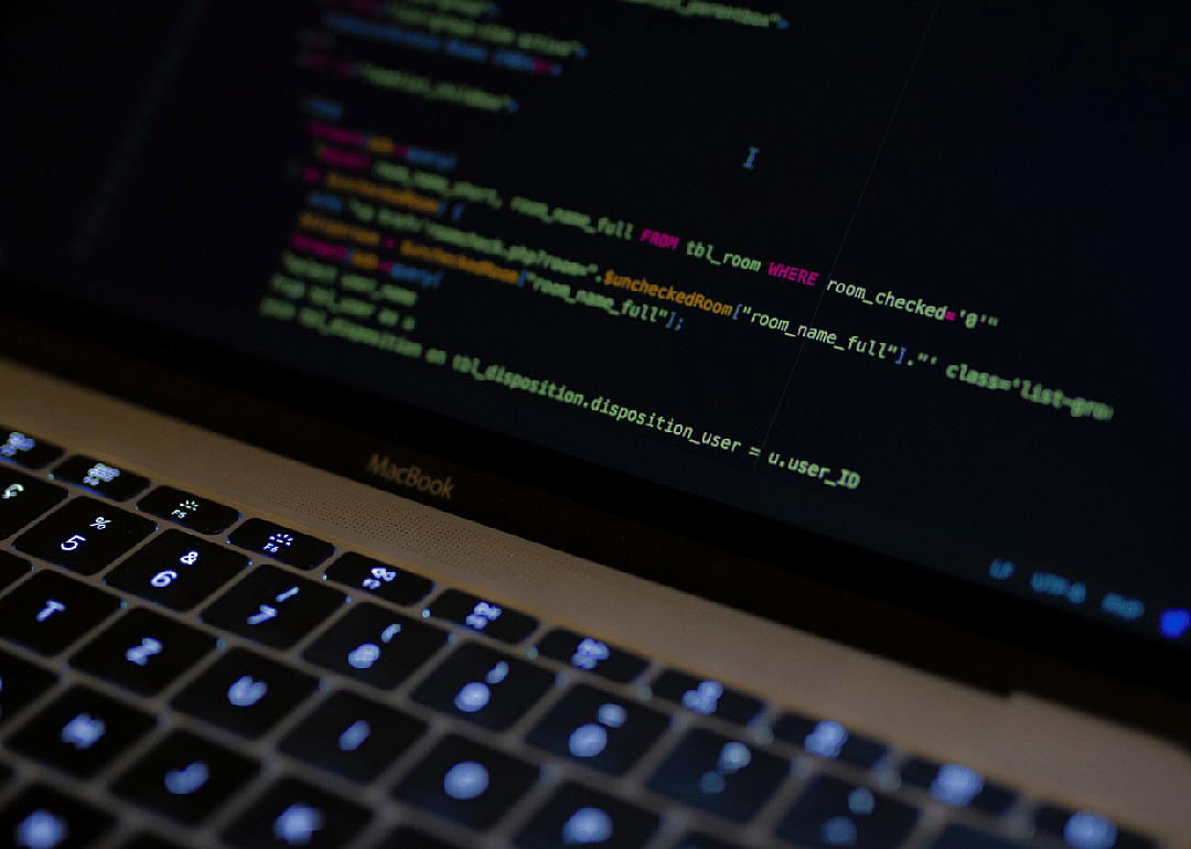 Web developer/computer programmer
