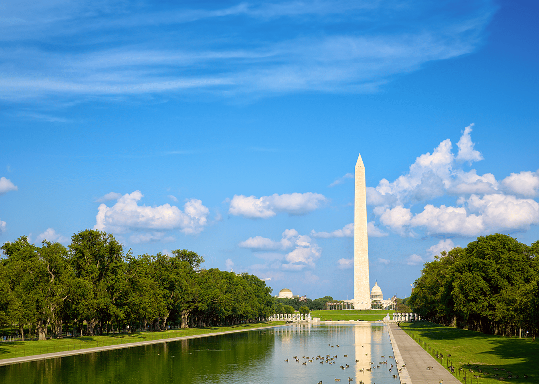Washington D.C.