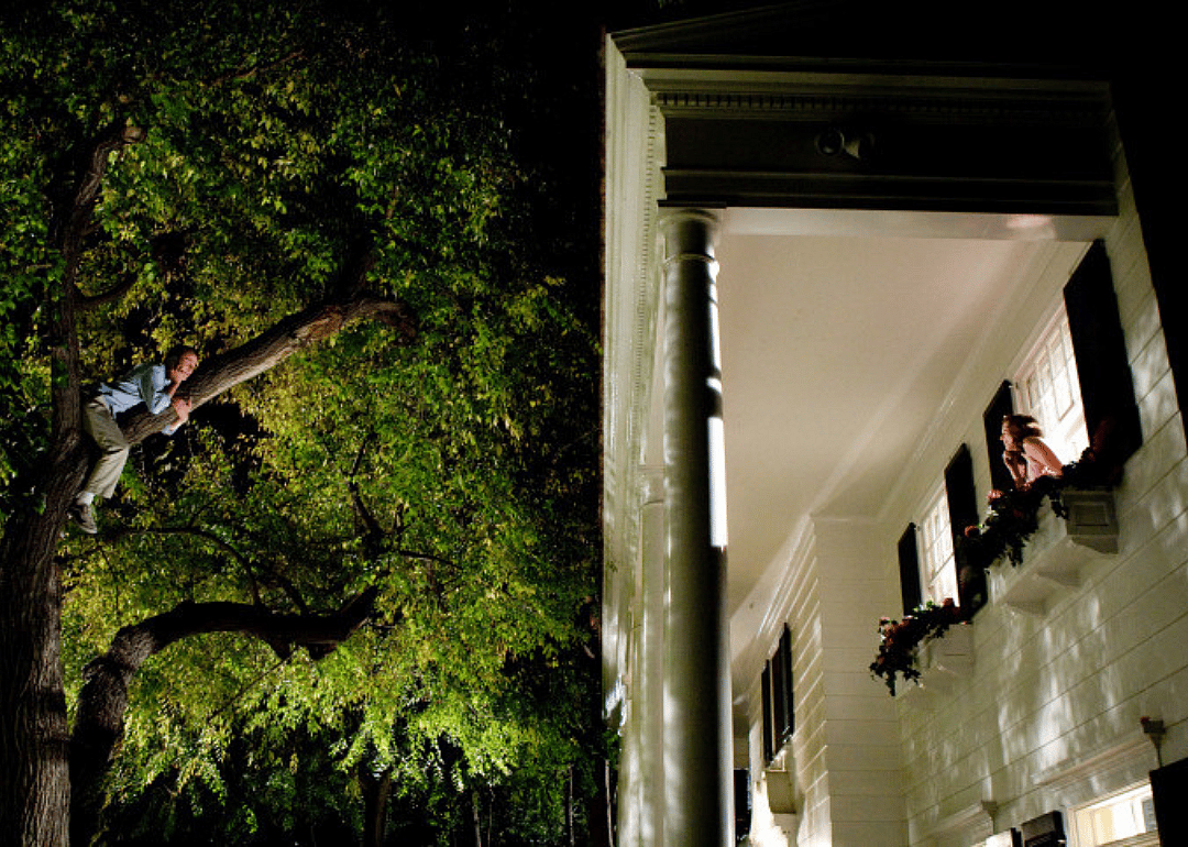 A guy in a tree talking on the phone to a girl in the window next to him.