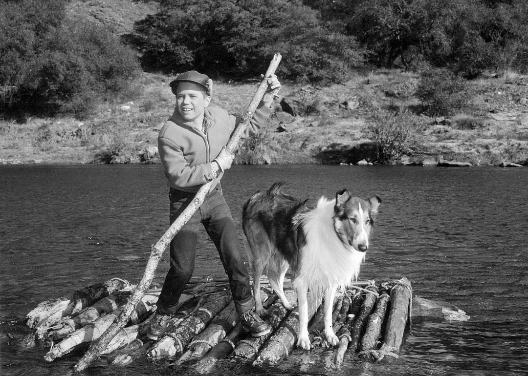 Lassie