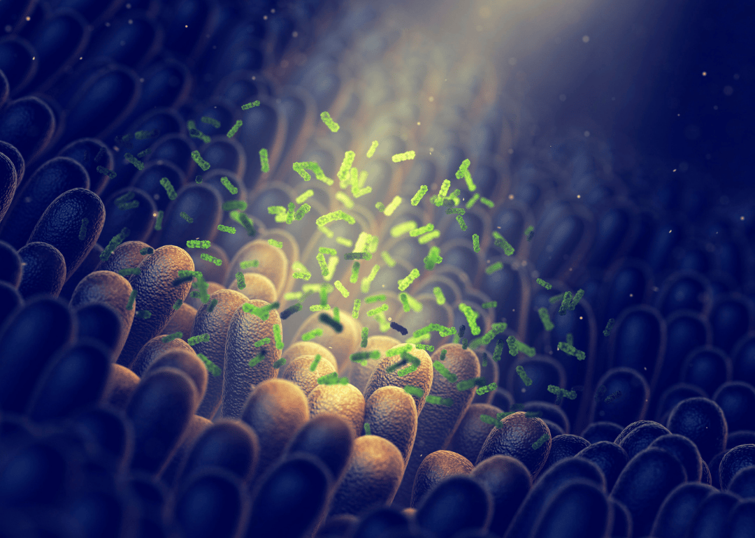 Changing the gut microbiome could help prevent food allergies