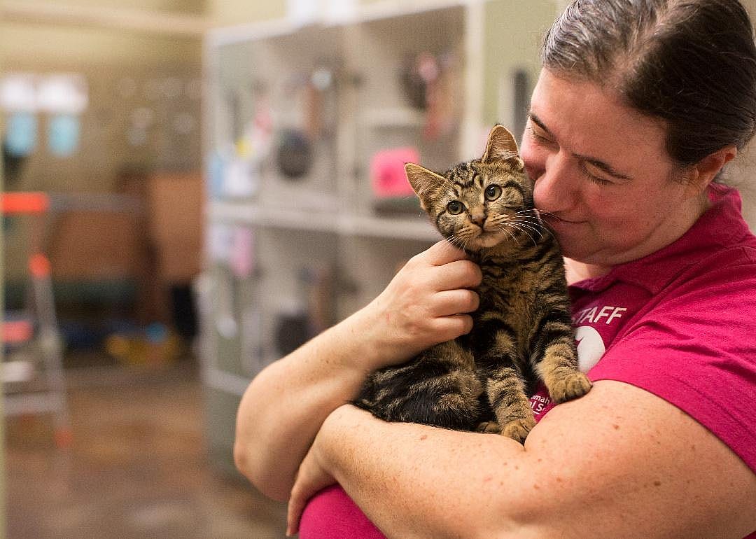 Oregon: Multnomah County Animal Services