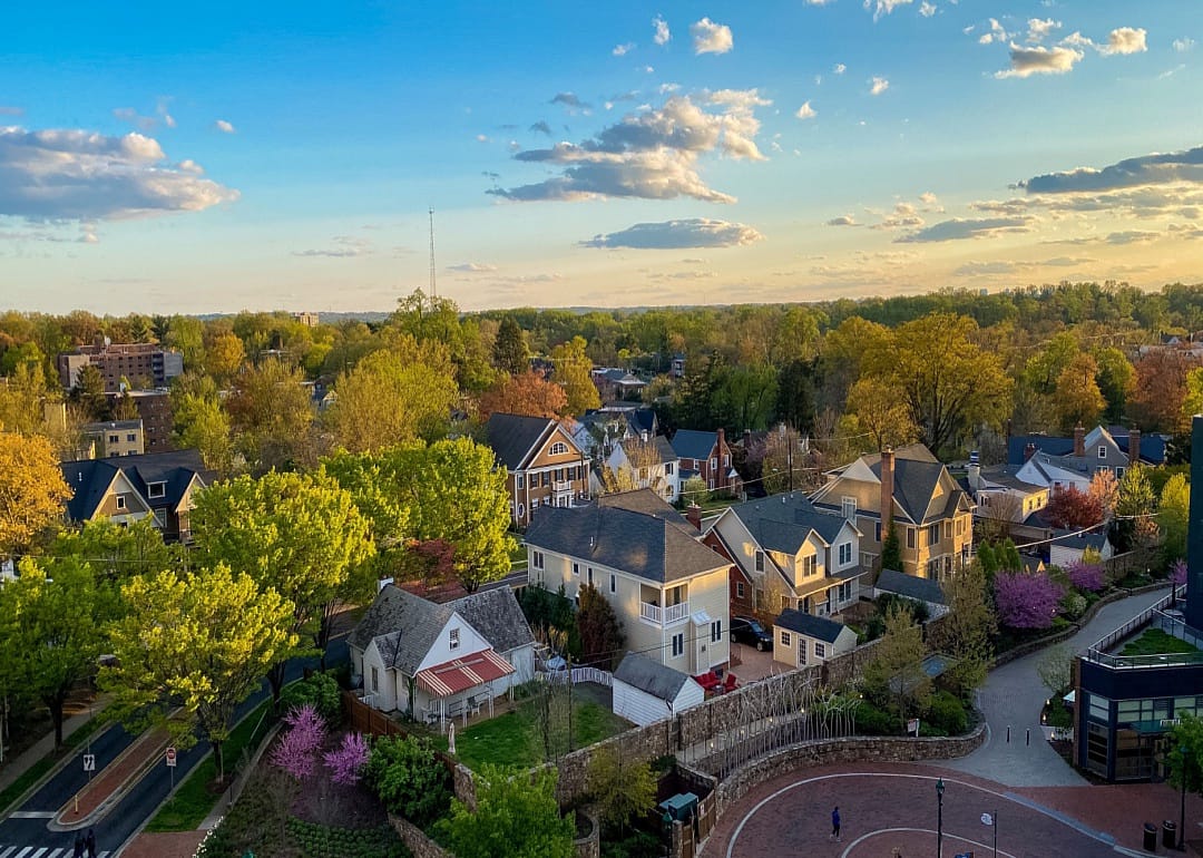 An aerial view of large homes amongst the trees.