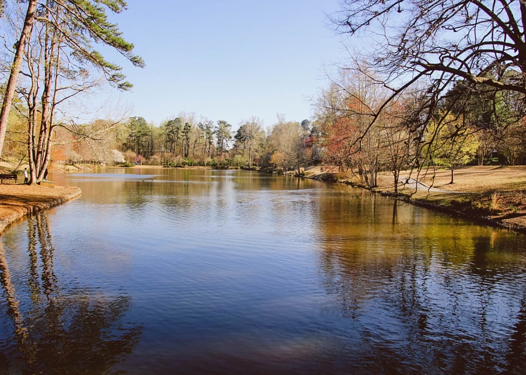 People standing next to a pond.