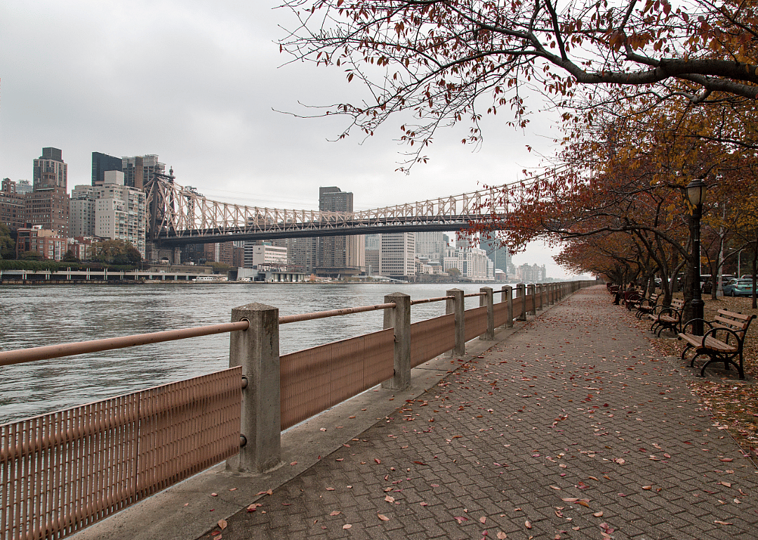 #23. New York's 12th Congressional District