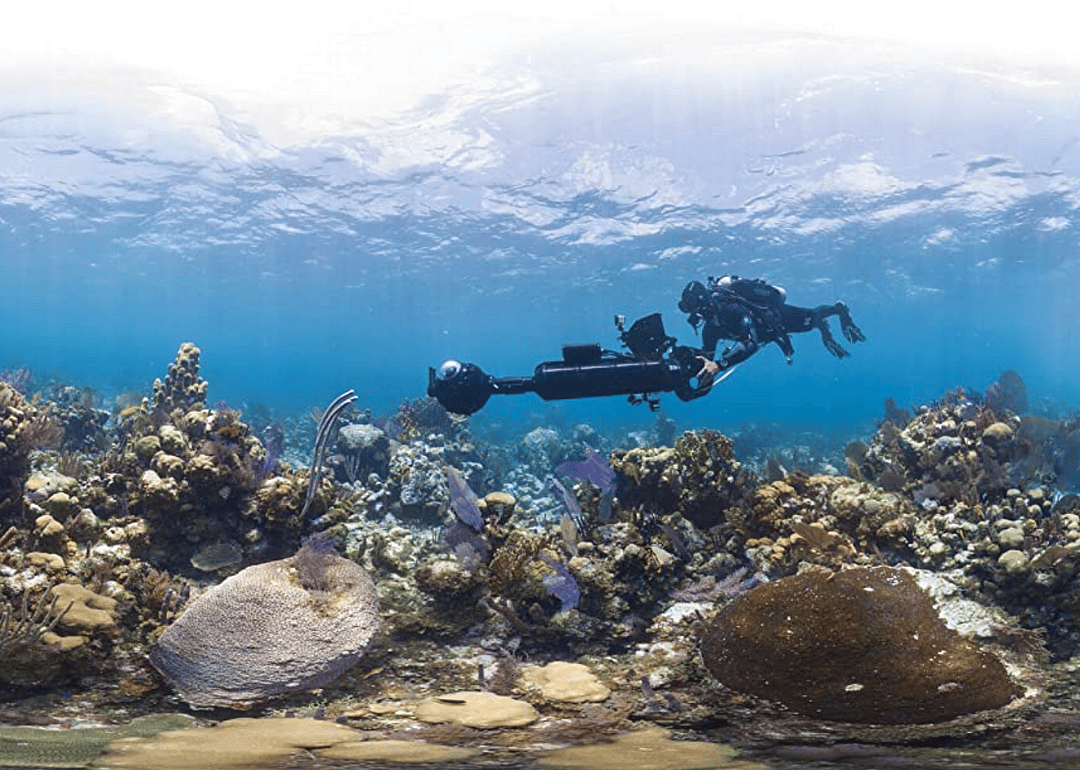 #26. Chasing Coral (2017)