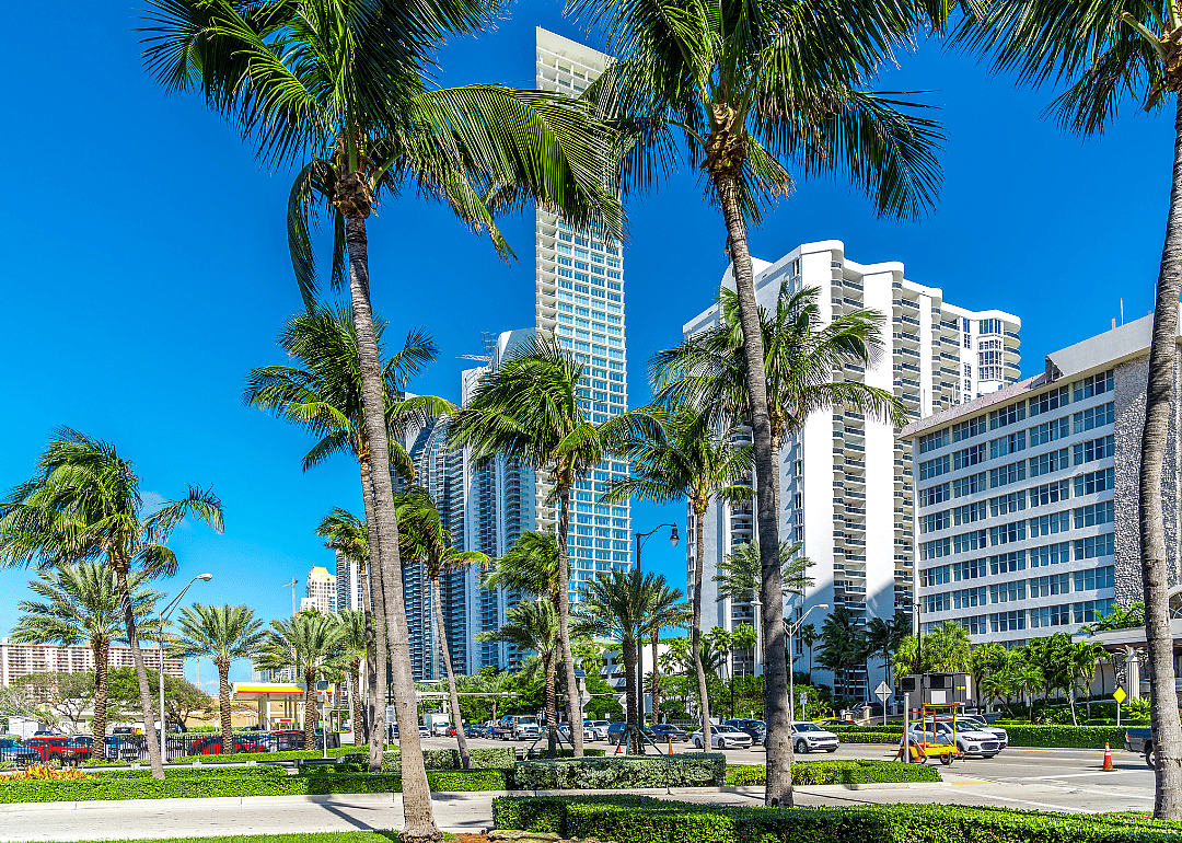 Palm trees and tall buildings against a blue sky.